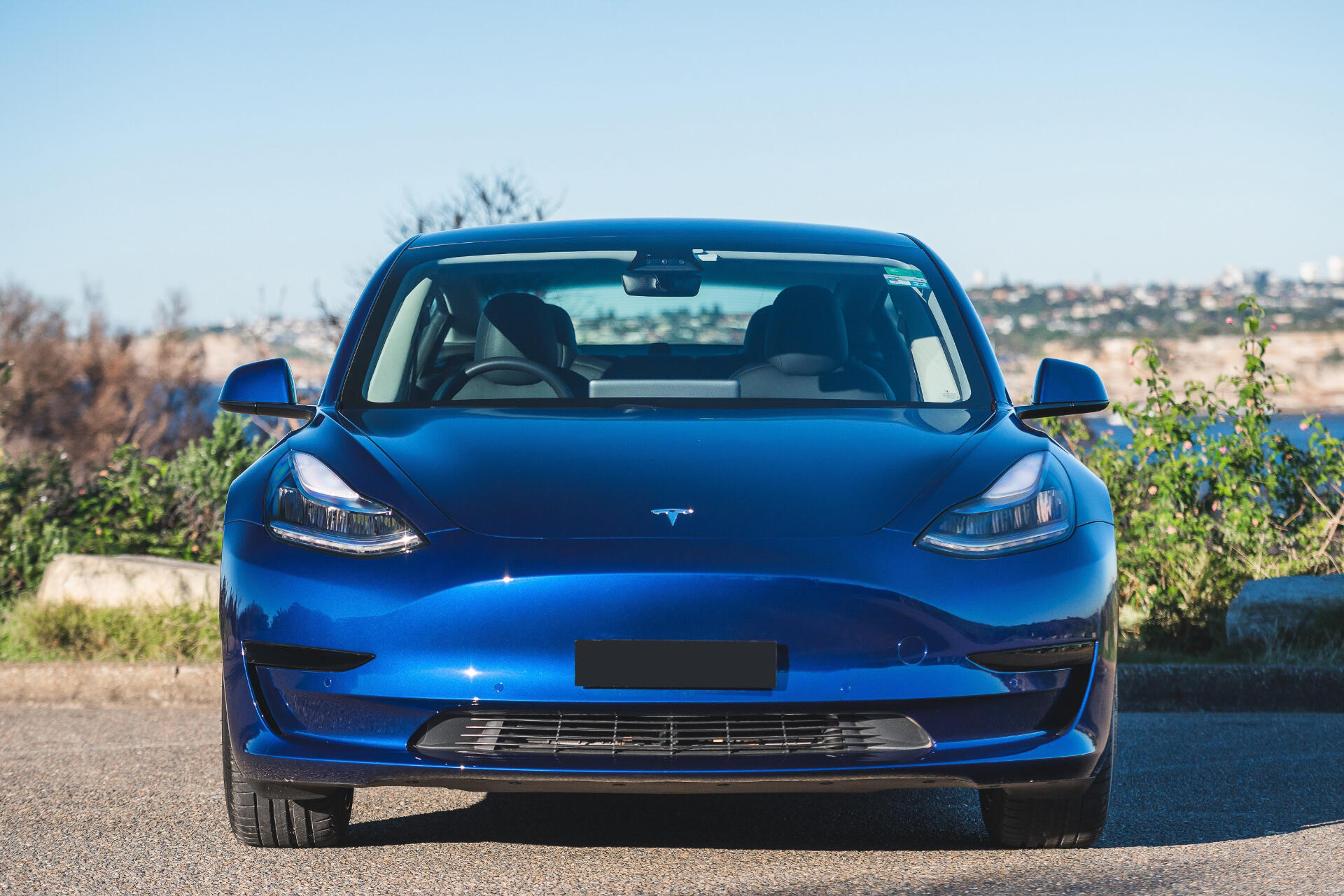 Blue Model 3