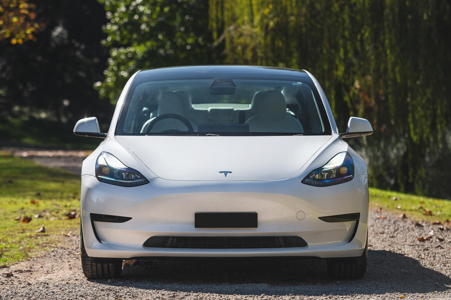 White Model 3